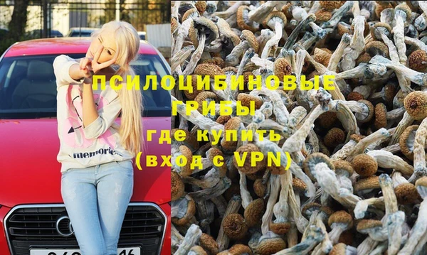 трава Магадан