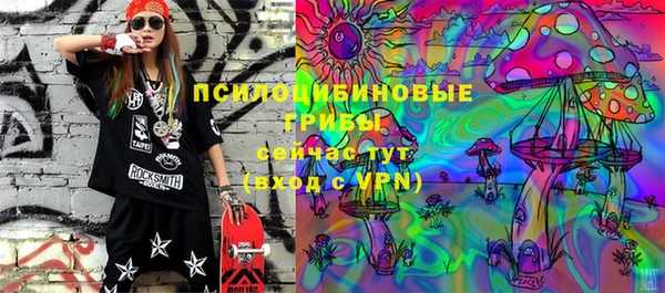 гидропоника Магас