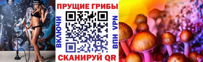 наркота Шарья Галлюциногенные грибы прущие грибы
